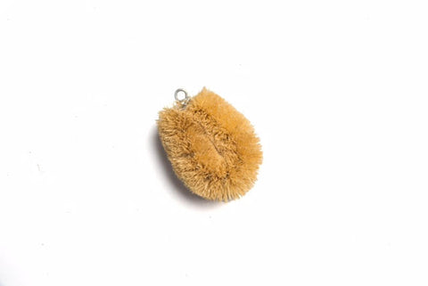 CBS006 Eco Coir Brush Small