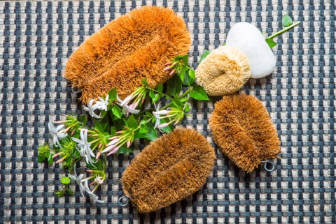 CBB005 Eco Coir Brush Big