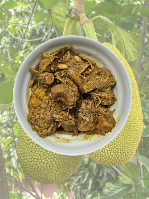 Young Jackfruit Curry