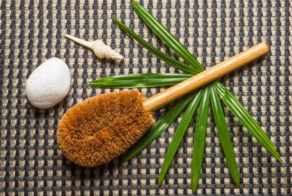 Eco on sale toilet brush